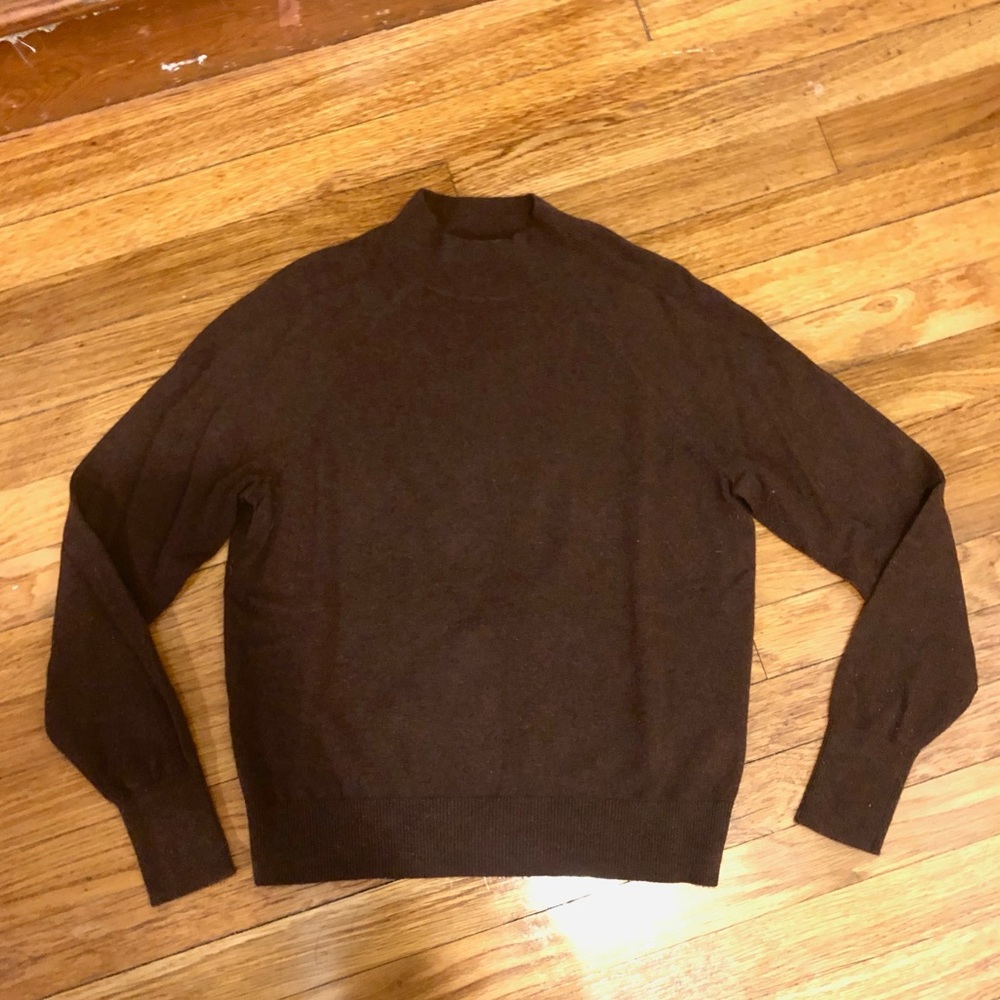 Everlane Dark Brown Cashmere Mockneck